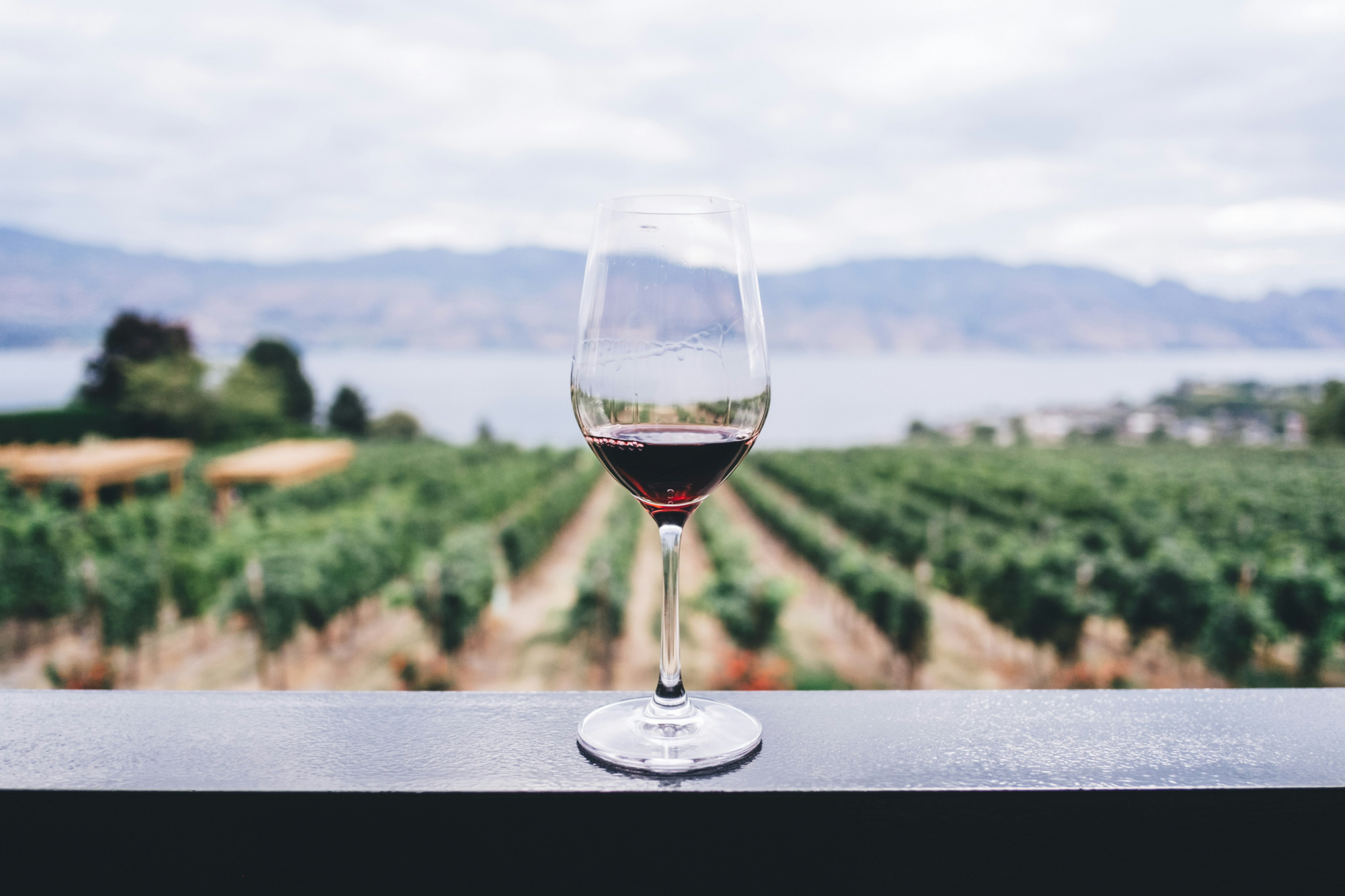découvrez une sélection de délicieux vins rouges provenant des vignobles les plus réputés, offrant une expérience gustative riche et savoureuse.