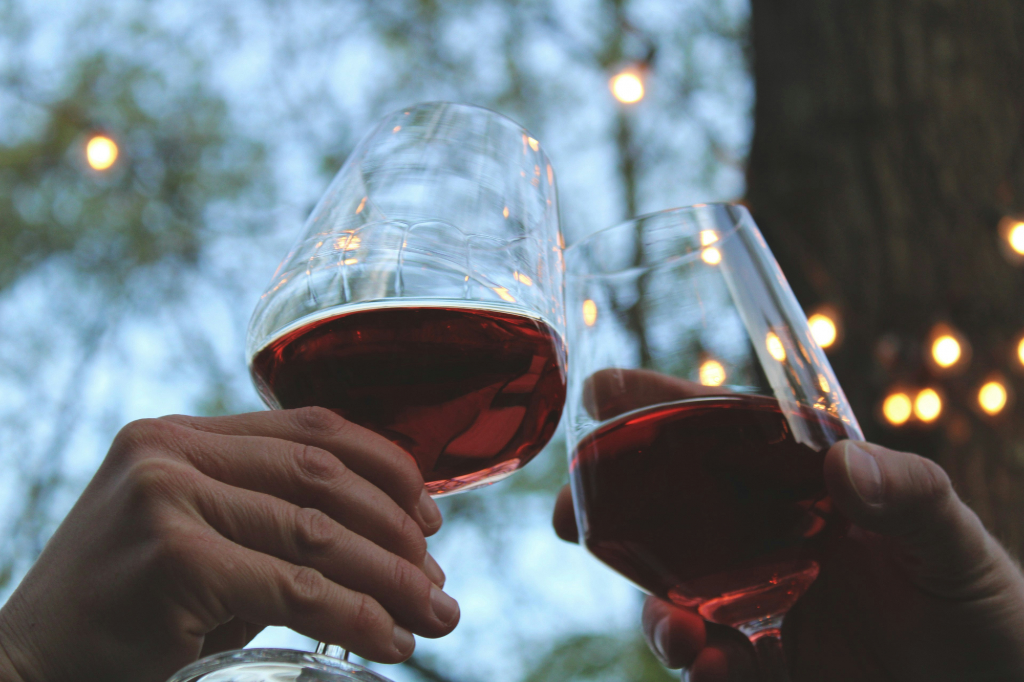 découvrez une sélection de vins rouges de qualité supérieure pour accompagner vos repas et savourer des moments exquis.