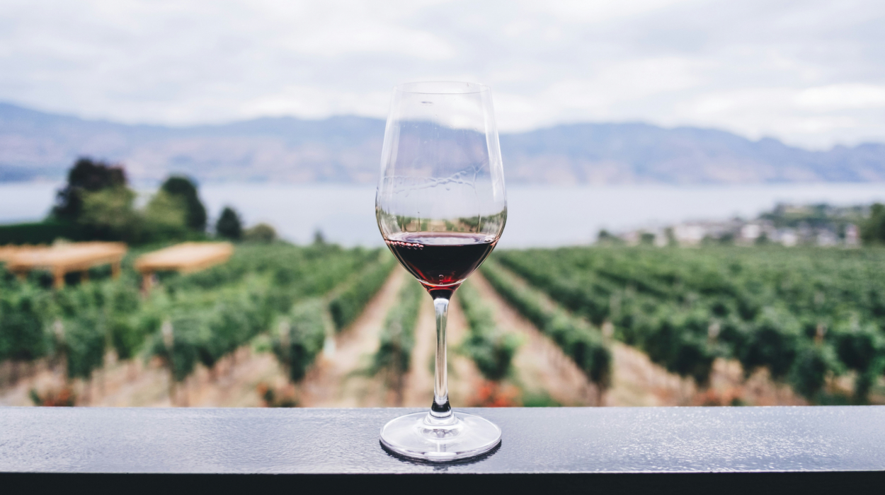 découvrez l'univers du vin et explorez une sélection exquise de bouteilles raffinées et de cépages uniques avec notre collection de vins haut de gamme.