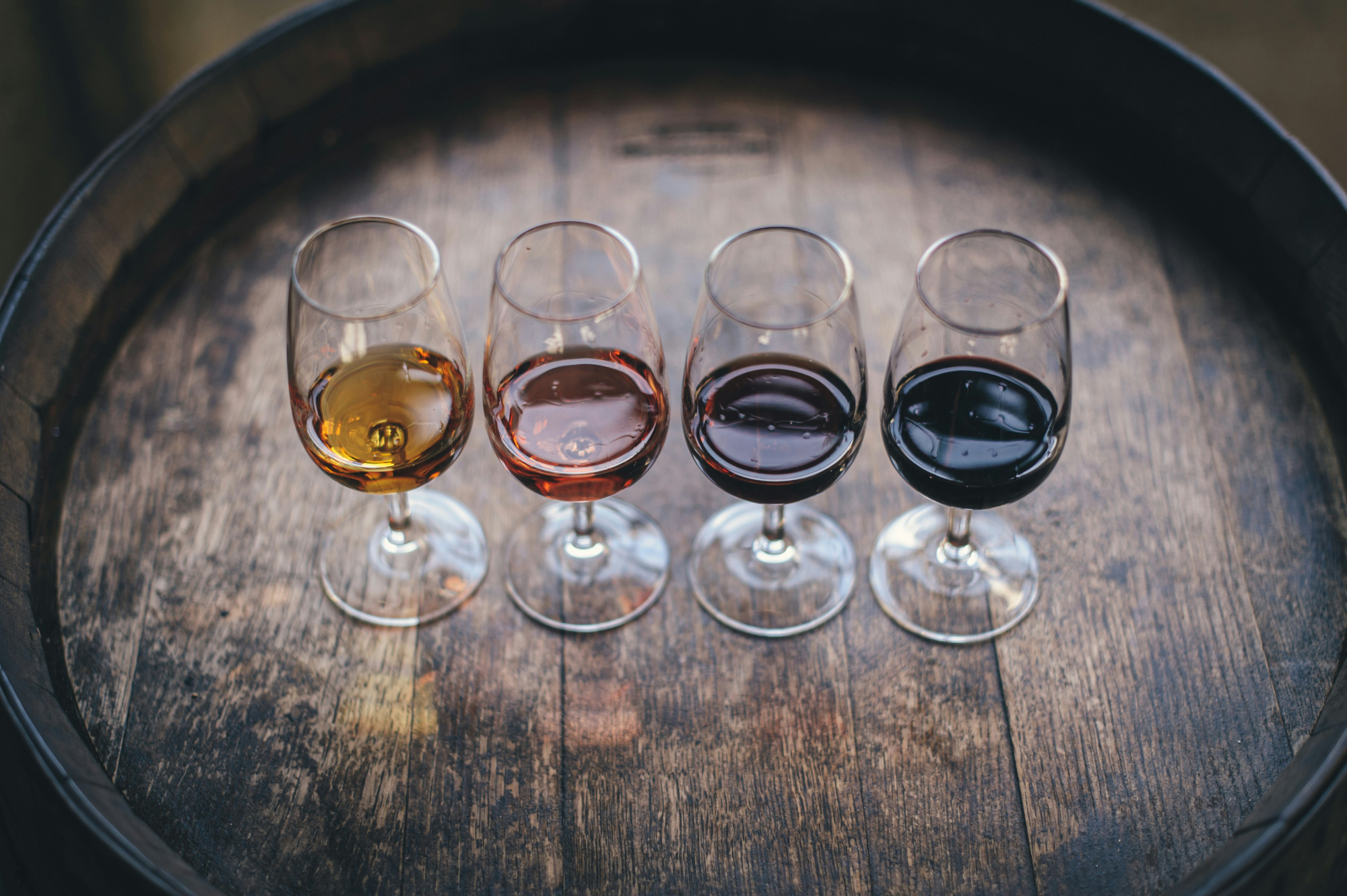 découvrez l'art de la dégustation de vins avec nos experts : arômes, saveurs et terroirs n'auront plus de secrets pour vous.